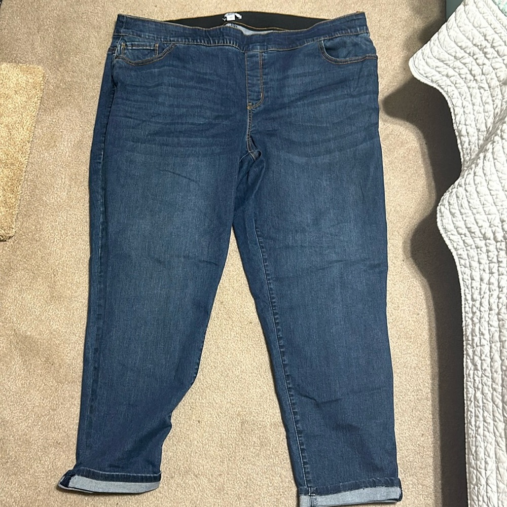 Croft & Barrow pull on jeans, size 24W.